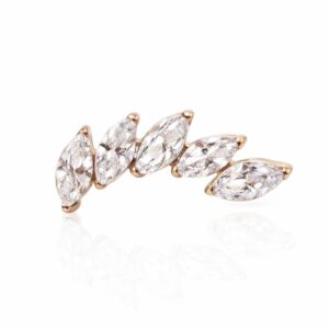 מרקיזות טיטניום